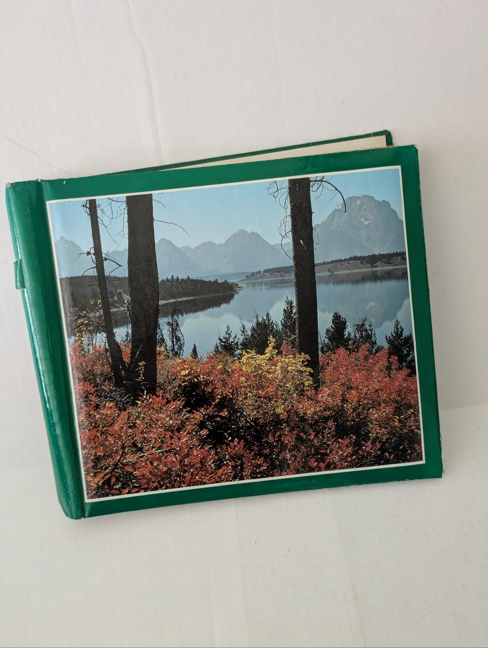 Vintage photo/scrapbook album